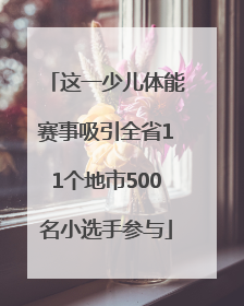 这一少儿体能赛事吸引全省11个地市500名小选手参与