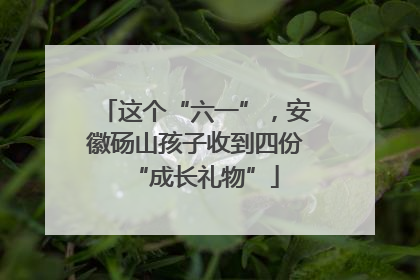 这个“六一”，安徽砀山孩子收到四份“成长礼物”
