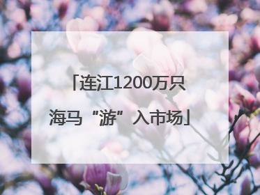 连江1200万只海马“游”入市场