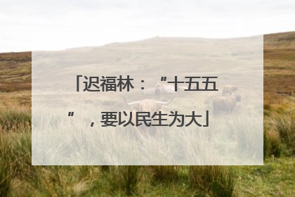 迟福林：“十五五”，要以民生为大