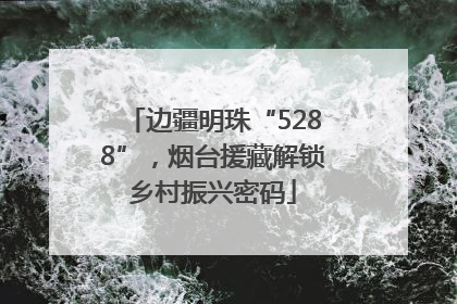 边疆明珠“5288”，烟台援藏解锁乡村振兴密码