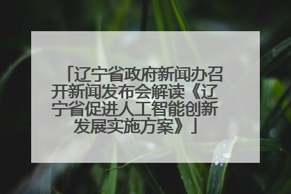辽宁省政府新闻办召开新闻发布会解读《辽宁省促进人工智能创新发展实施方案》