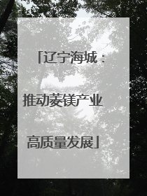 辽宁海城：推动菱镁产业高质量发展