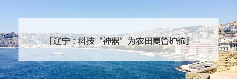 辽宁：科技“神器”为农田夏管护航