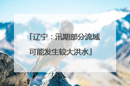 辽宁：汛期部分流域可能发生较大洪水