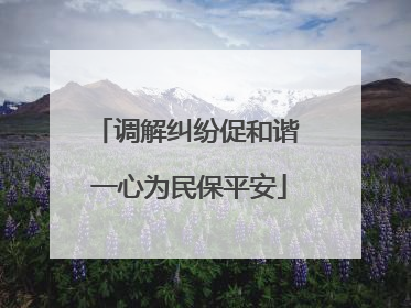 调解纠纷促和谐 一心为民保平安