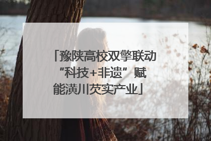 豫陕高校双擎联动 “科技+非遗”赋能潢川芡实产业