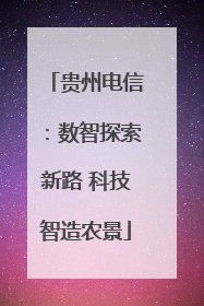 贵州电信：数智探索新路 科技智造农景