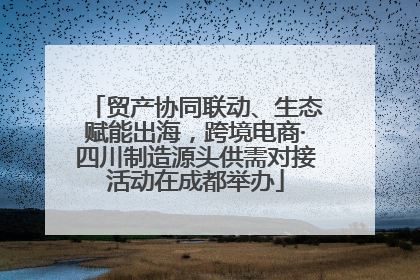 贸产协同联动、生态赋能出海，跨境电商·四川制造源头供需对接活动在成都举办