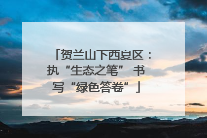 贺兰山下西夏区：执“生态之笔” 书写“绿色答卷”