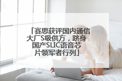 赛思获评国内通信大厂S级供方，跻身国产SLIC语音芯片领军者行列