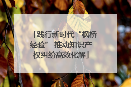 践行新时代“枫桥经验” 推动知识产权纠纷高效化解