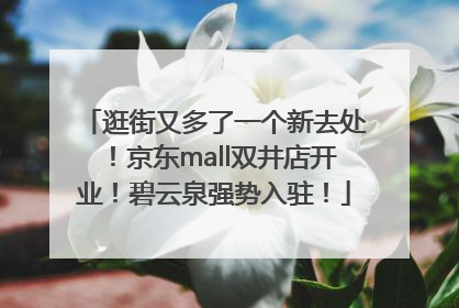 逛街又多了一个新去处！京东mall双井店开业！碧云泉强势入驻！