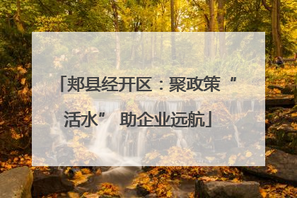 郏县经开区：聚政策“活水” 助企业远航