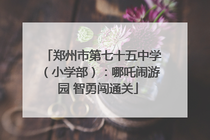 郑州市第七十五中学（小学部）：哪吒闹游园 智勇闯通关