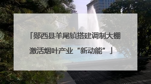 郧西县羊尾镇搭建调制大棚激活烟叶产业“新动能”