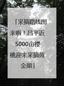 采摘路线图来啦！昌平近5000亩樱桃迎来采摘黄金期