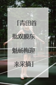 青田首批双膜东魁杨梅迎来采摘