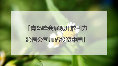 青岛峰会展现开放引力 跨国公司加码投资中国