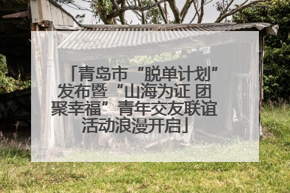 青岛市“脱单计划”发布暨“山海为证 团聚幸福”青年交友联谊活动浪漫开启