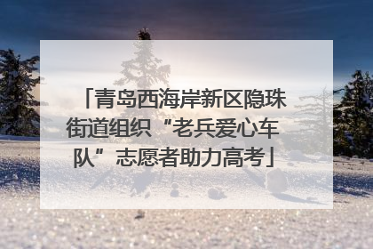 青岛西海岸新区隐珠街道组织“老兵爱心车队”志愿者助力高考
