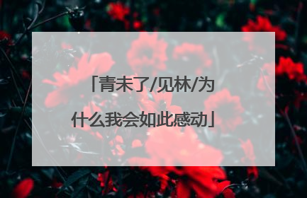 青未了/见林/为什么我会如此感动