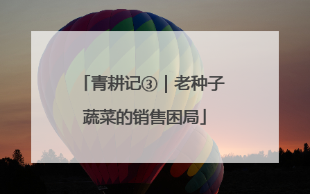 青耕记③｜老种子蔬菜的销售困局
