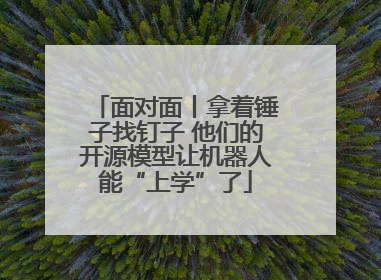 面对面丨拿着锤子找钉子 他们的开源模型让机器人能“上学”了