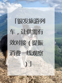 银发旅游列车，让供需有效对接（提振消费一线观察）