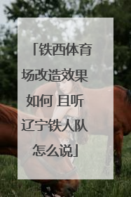 铁西体育场改造效果如何 且听辽宁铁人队怎么说