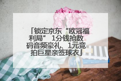 锁定京东“欧冠福利局” 1分钱抢数码音频豪礼、1元竞拍巨星亲签球衣