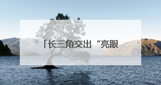 长三角交出“亮眼”成绩单 秦诗立：聚力抓好“两创”深度融合这个棋眼