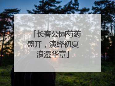 长春公园芍药盛开，演绎初夏浪漫华章