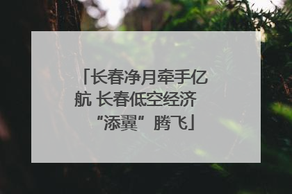 长春净月牵手亿航 长春低空经济“添翼”腾飞