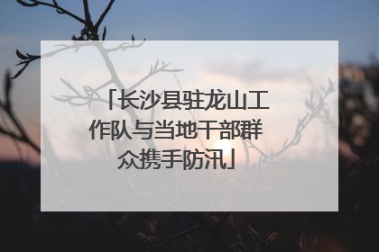 长沙县驻龙山工作队与当地干部群众携手防汛