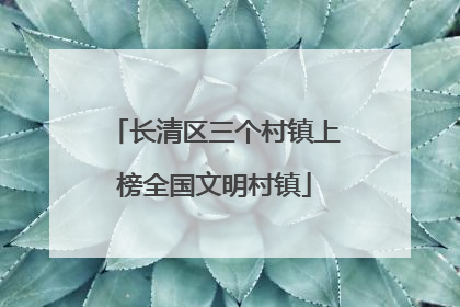 长清区三个村镇上榜全国文明村镇