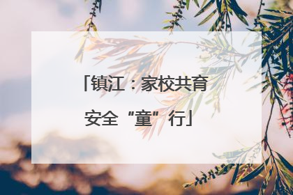 镇江：家校共育 安全“童”行