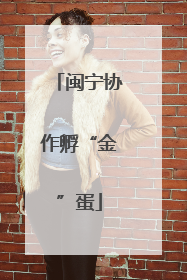闽宁协作孵“金”蛋