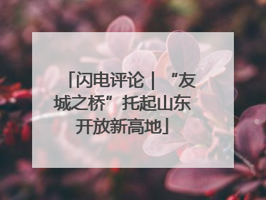 闪电评论｜“友城之桥”托起山东开放新高地