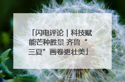 闪电评论｜科技赋能芒种胜景 齐鲁“三夏”画卷更壮美