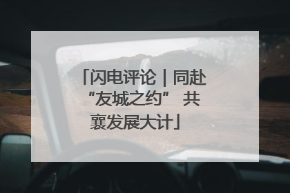 闪电评论｜同赴“友城之约” 共襄发展大计
