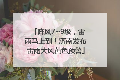阵风7~9级，雷雨马上到！济南发布雷雨大风黄色预警