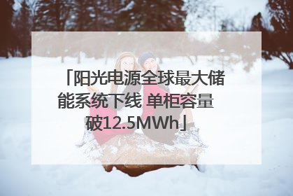 阳光电源全球最大储能系统下线 单柜容量破12.5MWh