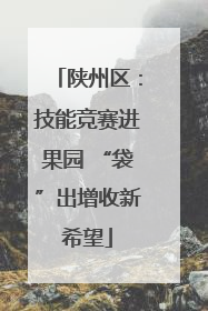 陕州区：技能竞赛进果园 “袋”出增收新希望