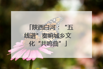 陕西白河：“五线谱”奏响城乡文化“共鸣曲”