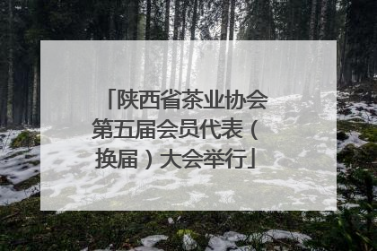 陕西省茶业协会第五届会员代表（换届）大会举行