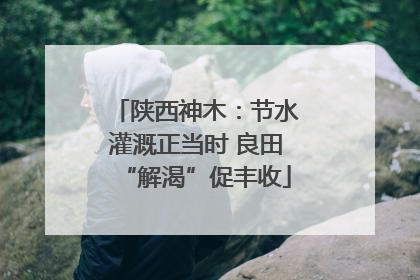陕西神木：节水灌溉正当时 良田“解渴”促丰收