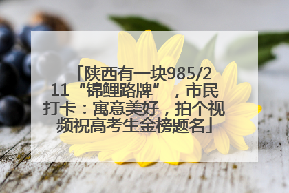陕西有一块985/211“锦鲤路牌”，市民打卡：寓意美好，拍个视频祝高考生金榜题名