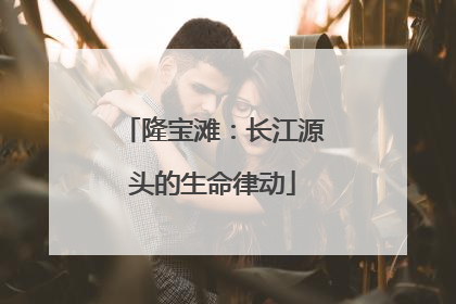 隆宝滩：长江源头的生命律动