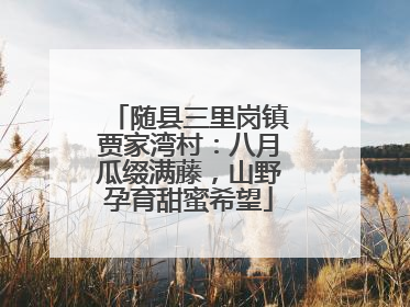 随县三里岗镇贾家湾村：八月瓜缀满藤，山野孕育甜蜜希望
